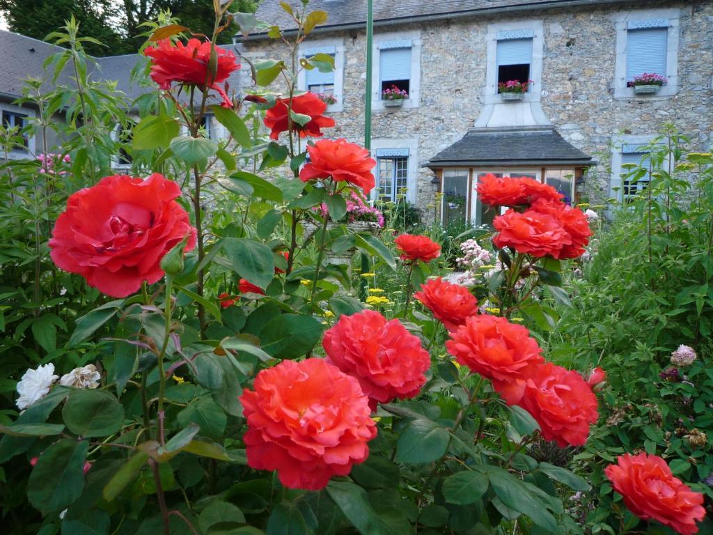 Domaine Vega Saint-Arroman (Hautes-Pyrenees) Exterior foto